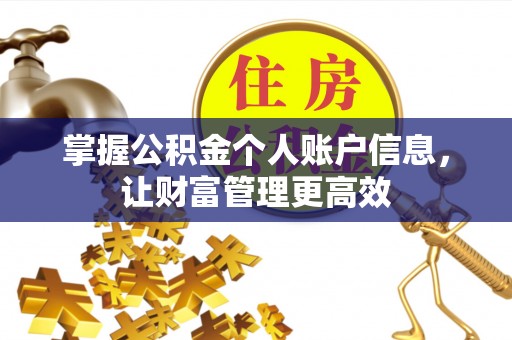 昭苏掌握公积金个人账户信息，让财富管理更高效