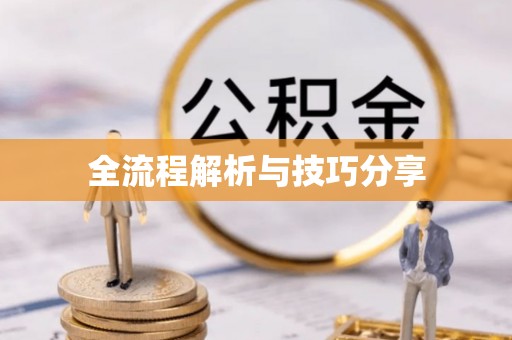 昭苏全流程解析与技巧分享